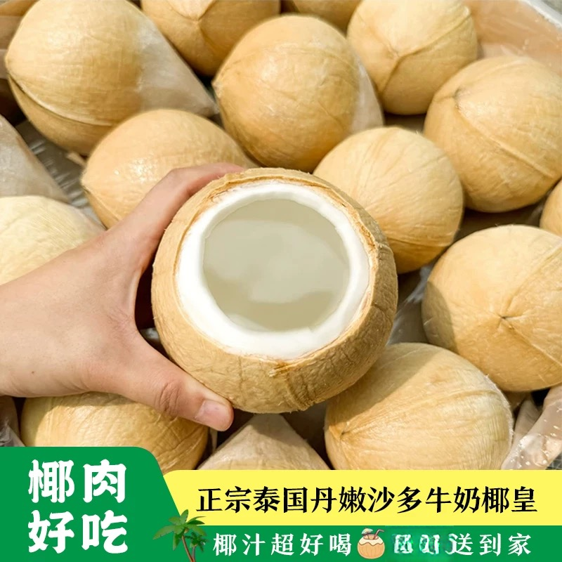 【京东-顺丰】泰国椰皇丹嫩沙多椰皇孕妈水果电解质6/9颗 送到家