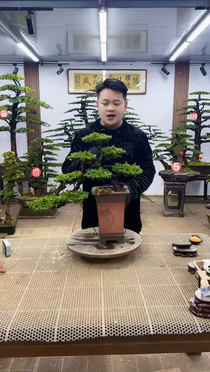 【闪购商品】000000000