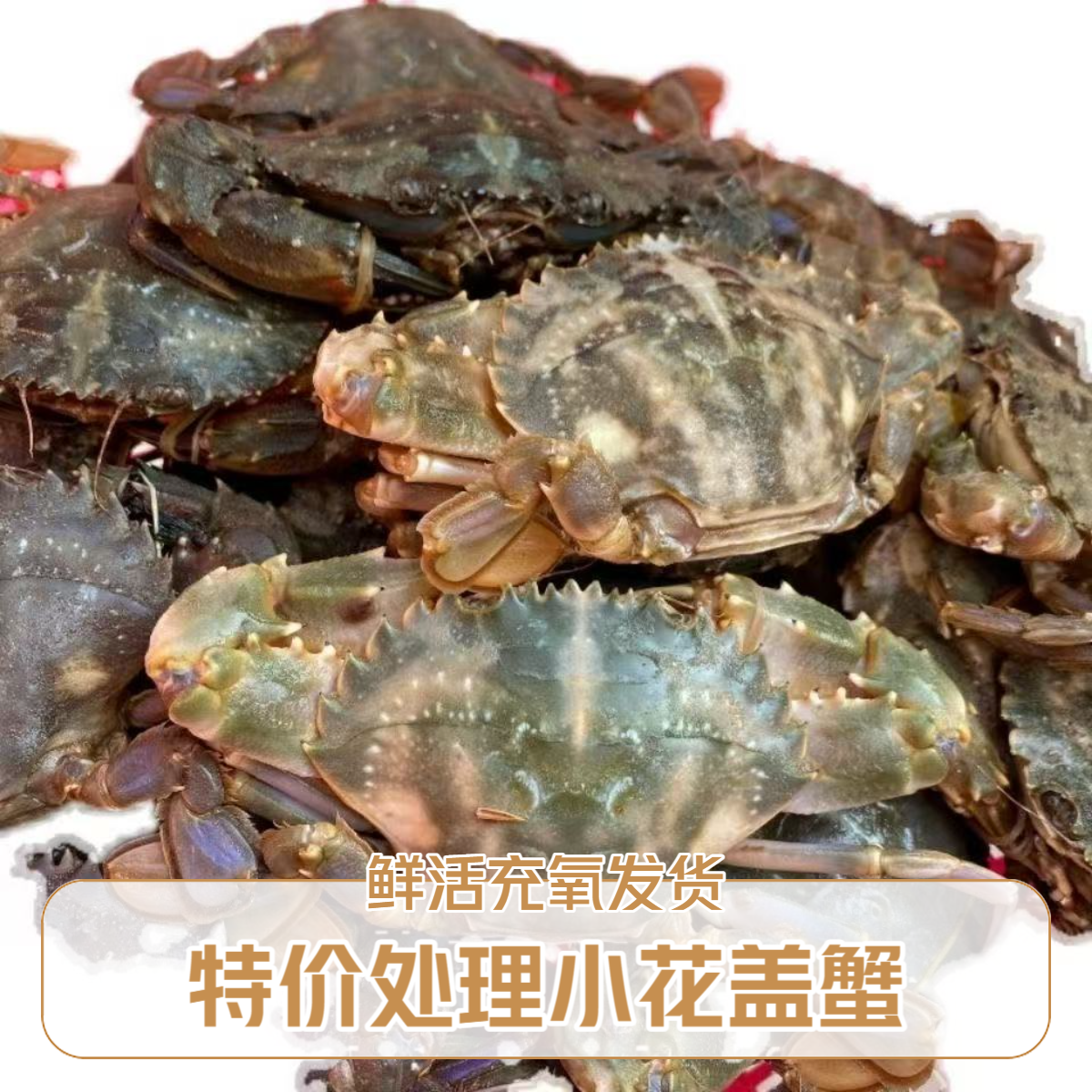 【保鲜不保活】特价小花盖公母混0.1-1两左右/只3斤 掉爪介意小勿拍