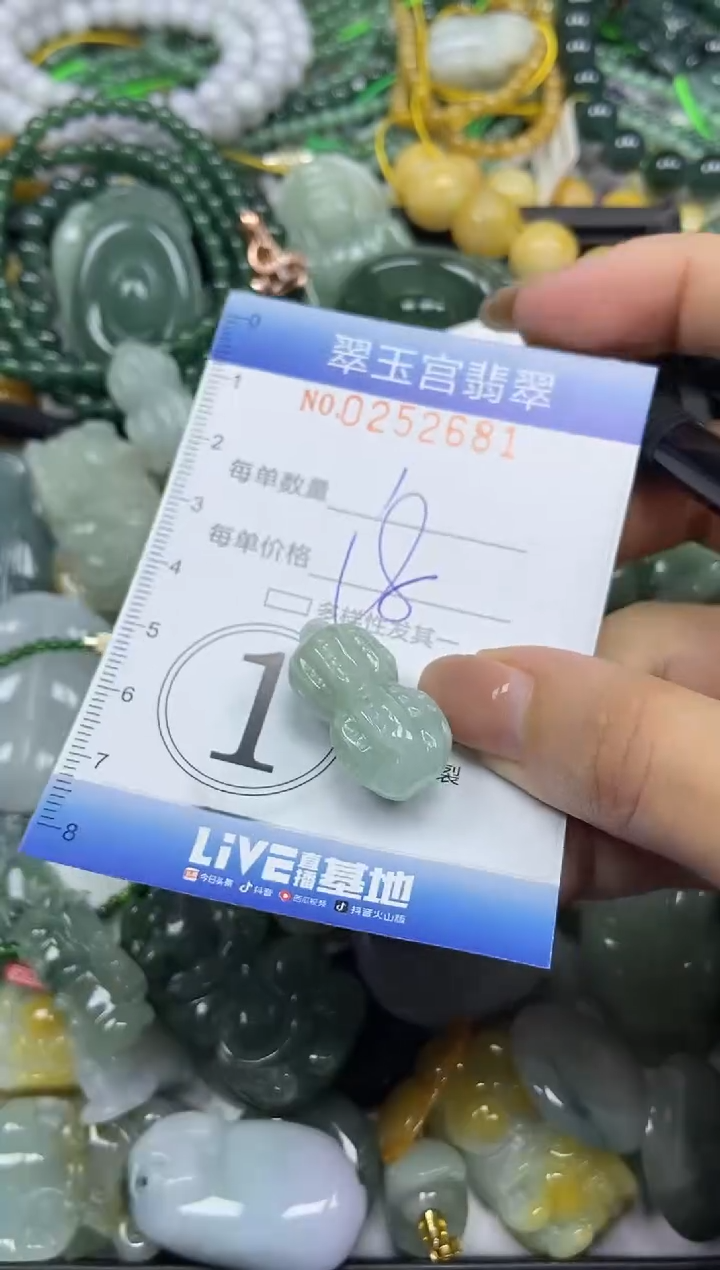 颈饰未镶嵌翡翠闪购C0252681