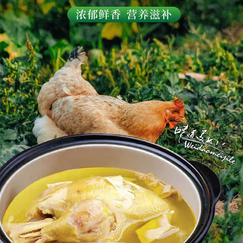 农村母鸡，肉质鲜嫩