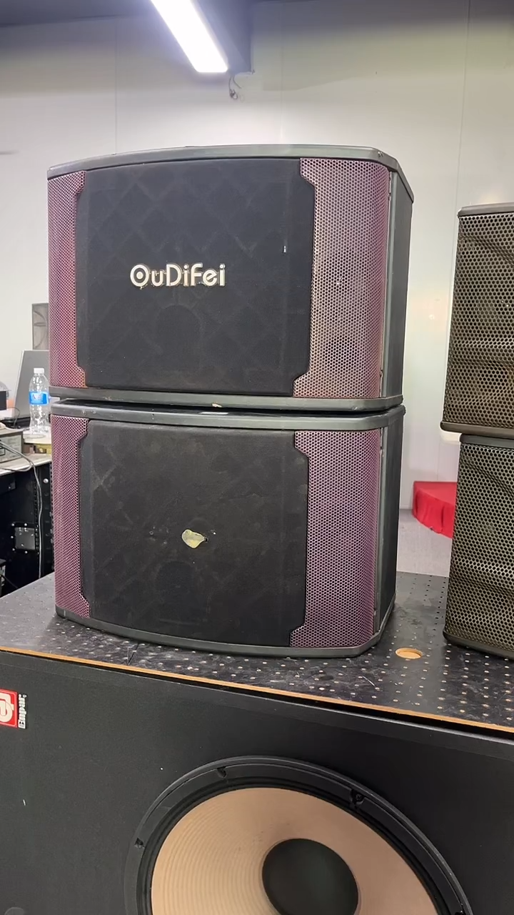 8新不包邮 10寸卡包音响  KTV音箱一对   运费到付