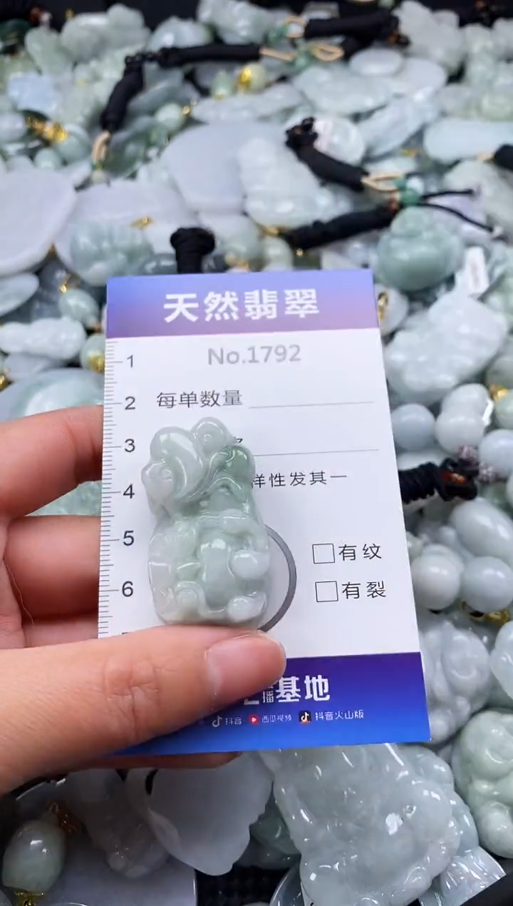 【闪购商品】翡翠颈饰未镶嵌缅甸A货翡翠1792