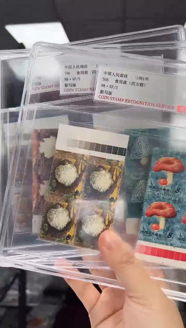 T66 食用菌 色标四方联 邮票 RCGS评级 精大盒