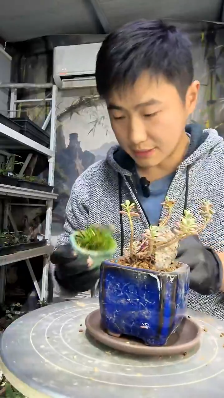 忆中青园艺一物一拍花19