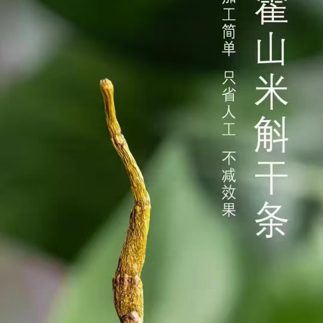 正宗霍山米斛寸金，正宗霍山原产，泡茶泡水煲汤