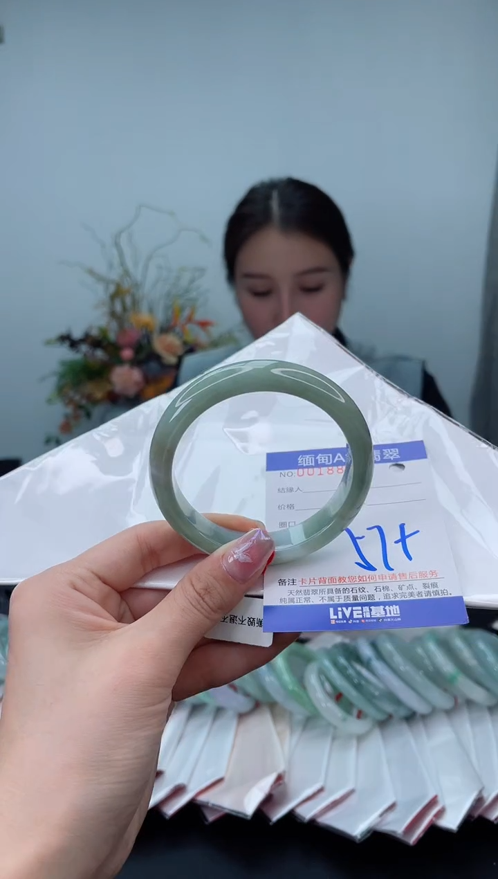 未镶嵌手镯翡翠5