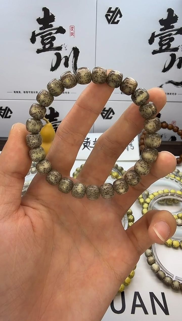 手串星月菩提9/8  冰糖玉化 星点 同枝果  B37