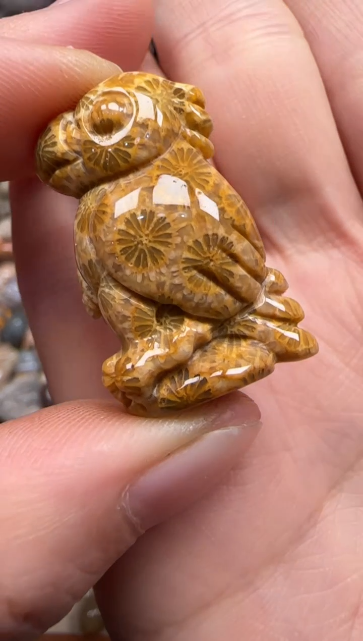 【闪购商品】硅化珊瑚（珊瑚玉）颈饰未镶嵌025