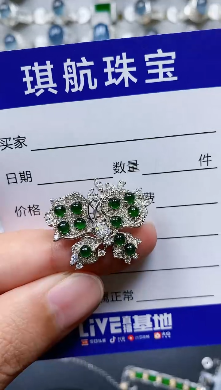 【闪购商品】翡翠颈饰银S925镶嵌0101