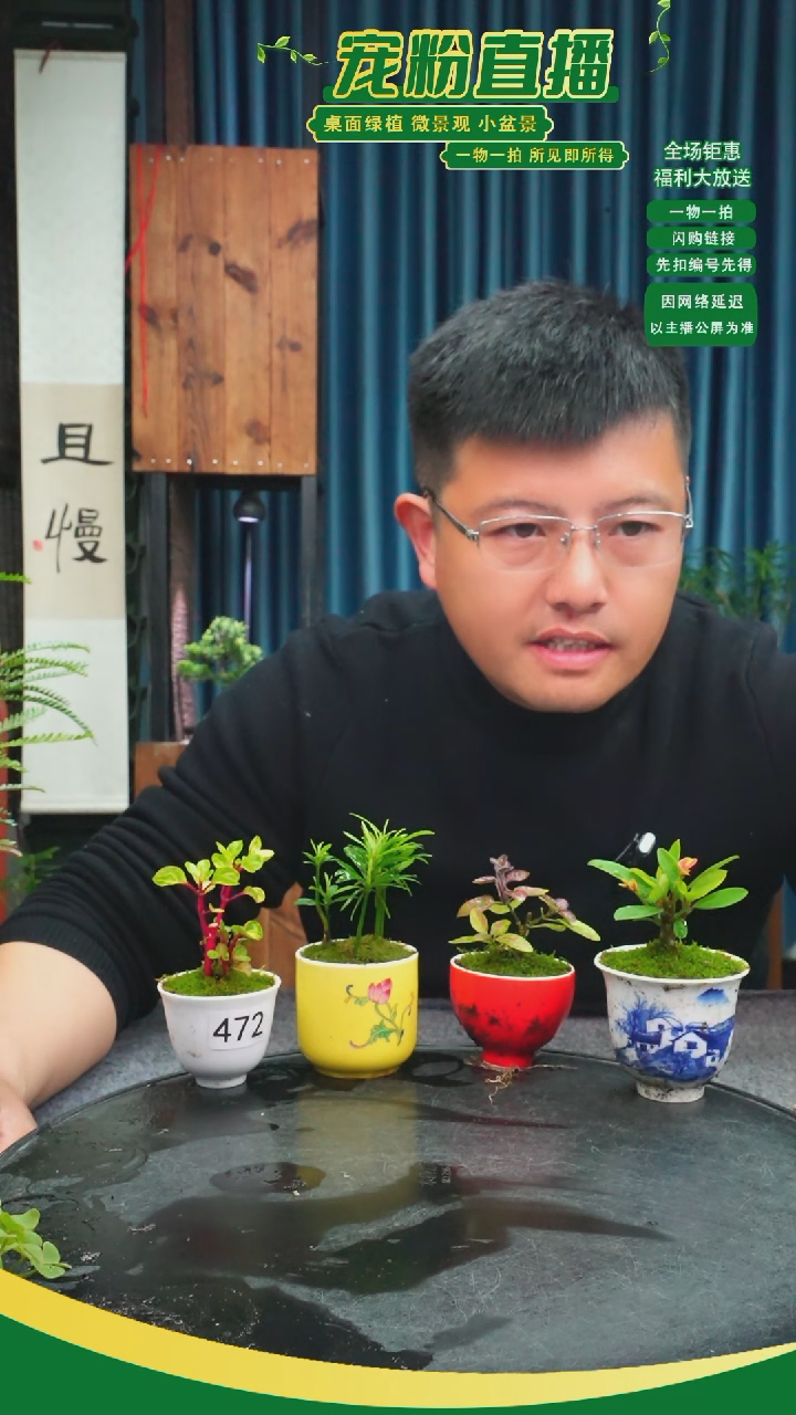 无花朵零****馆苔藓微景观472号