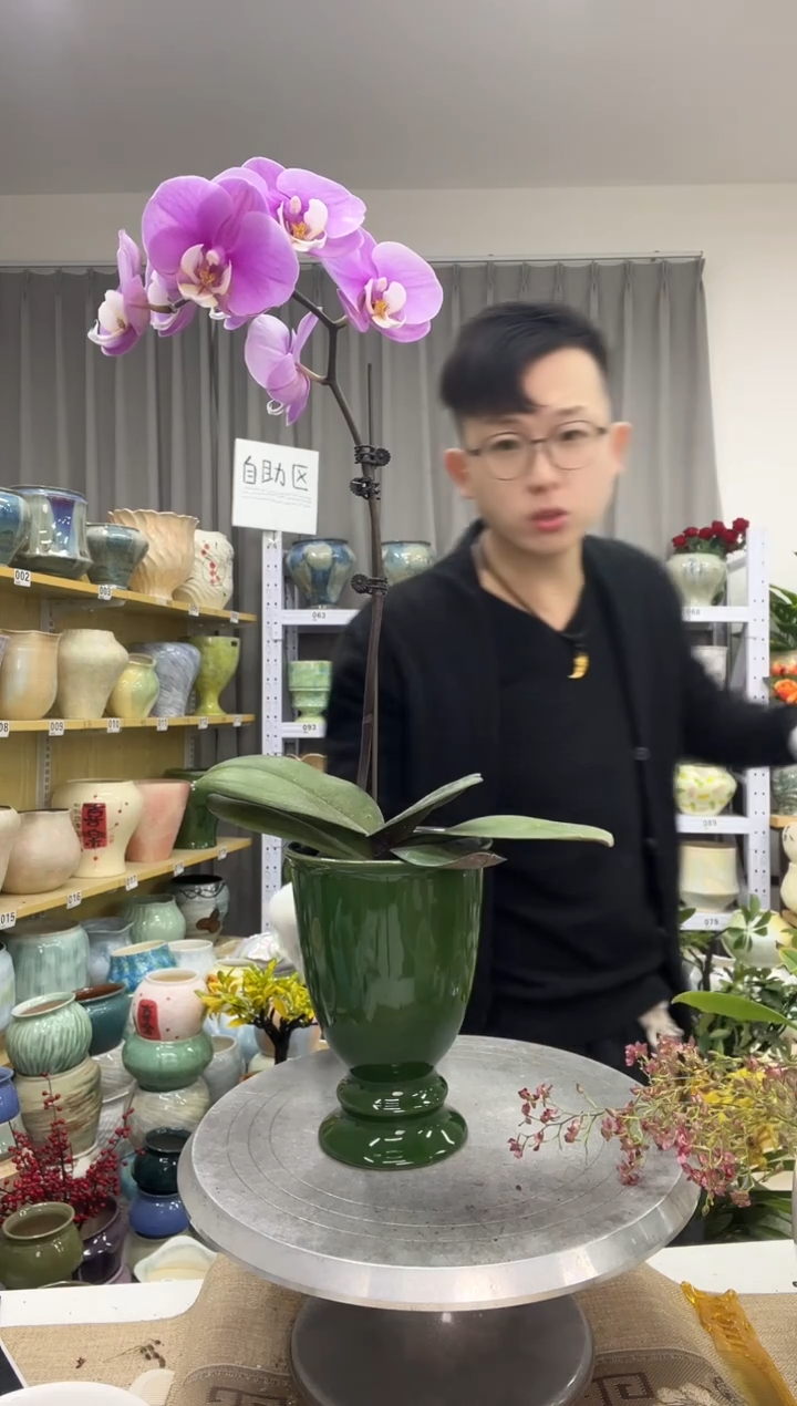 12.25陶瓷花盆直播链接高.  17    口11