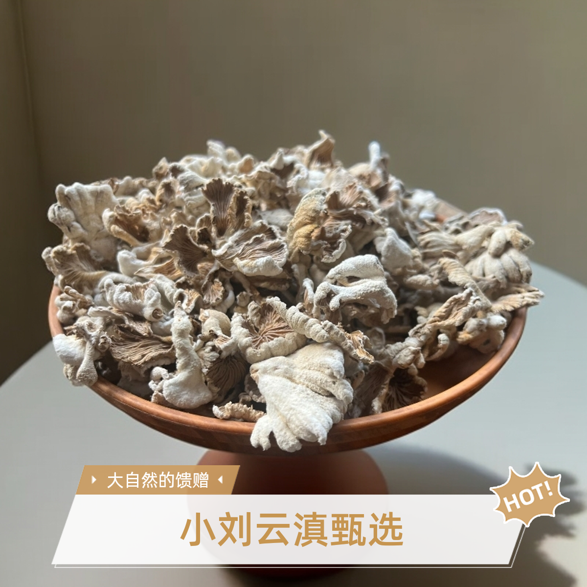 小刘云滇甄选-白参菌