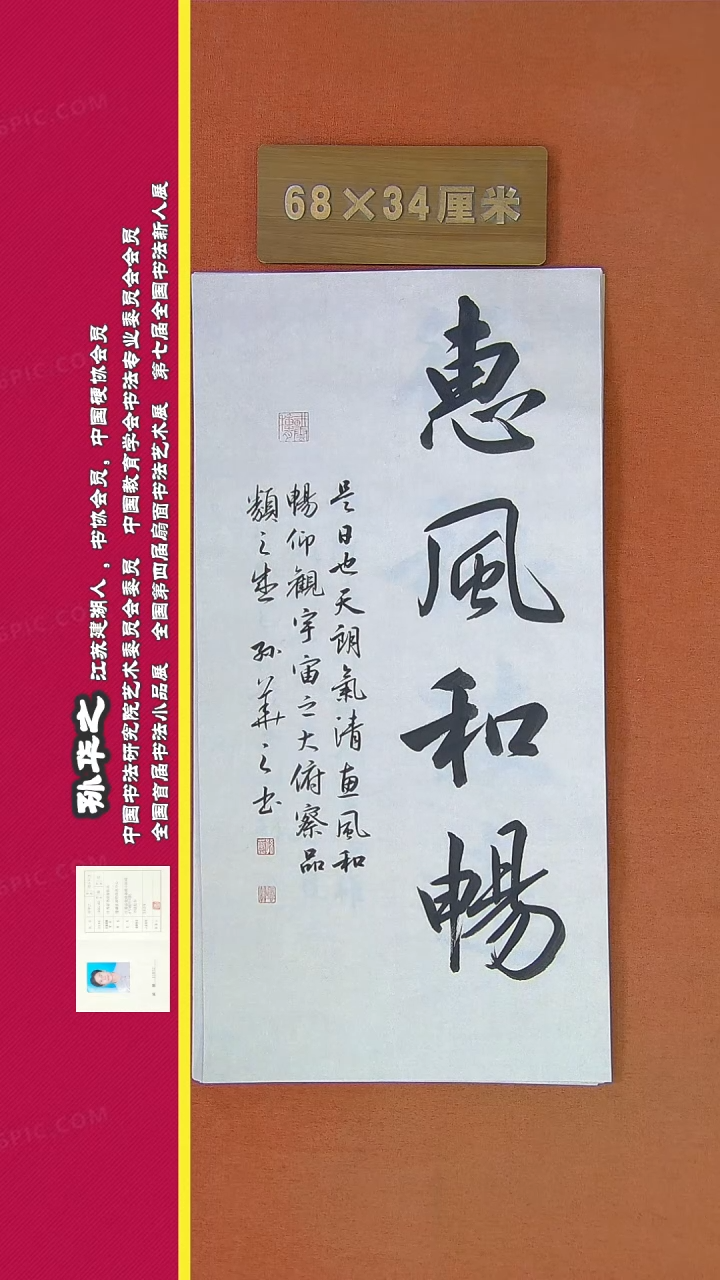 【闪购商品】书法143a孙华之书法作品