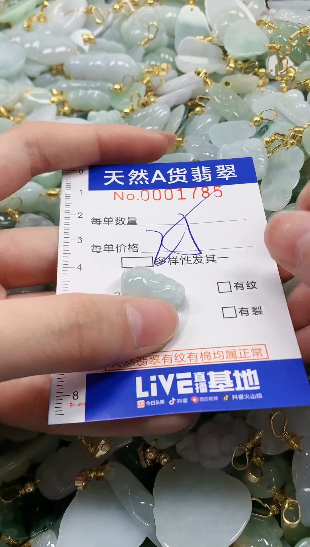 颈饰未镶嵌翡翠纯天然a货翡翠