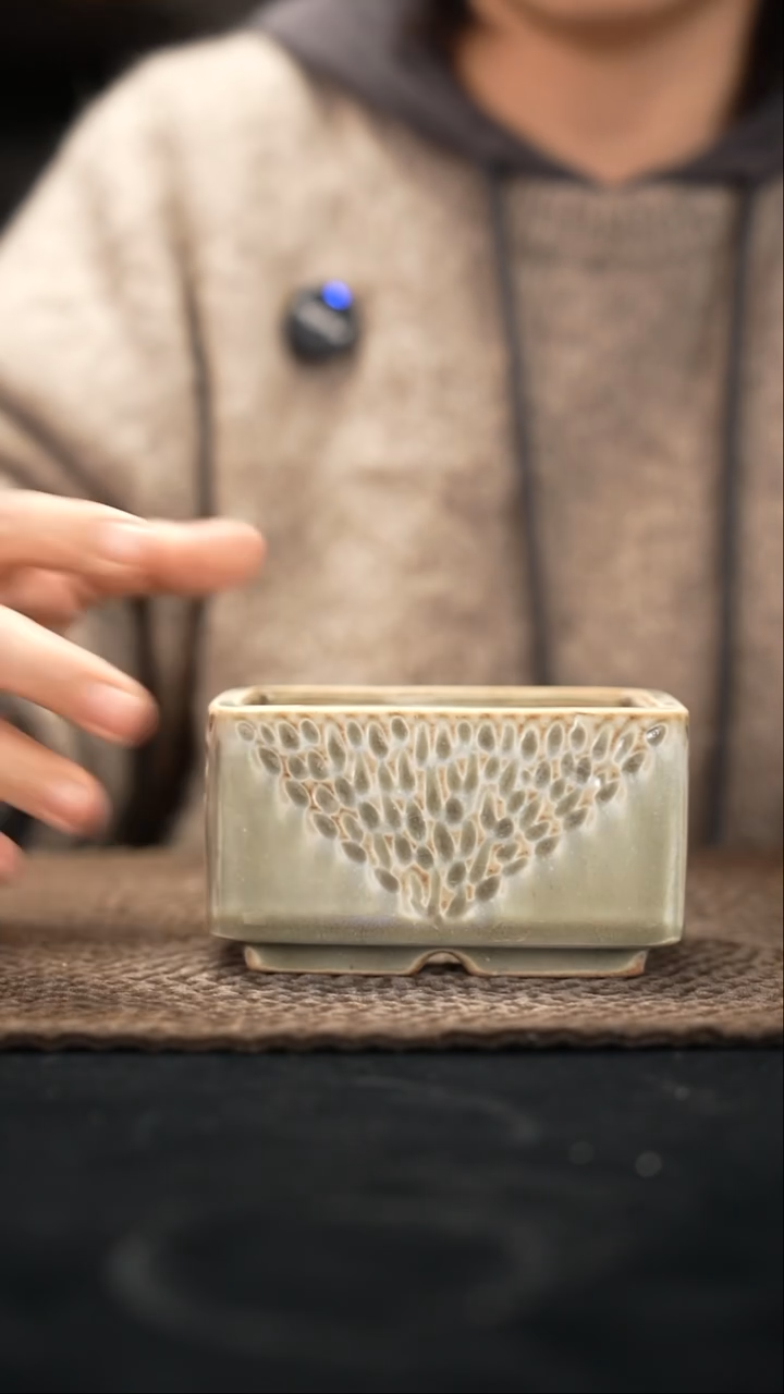 口径花盆-12-3-156