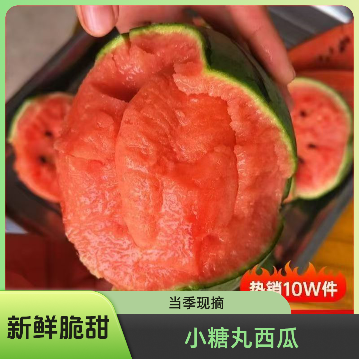 【现摘现发】正宗小糖丸西瓜新鲜水果小个西瓜当季薄皮小吊瓜红壤甜