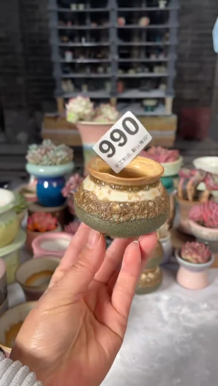 瓷片990小芳直播编号