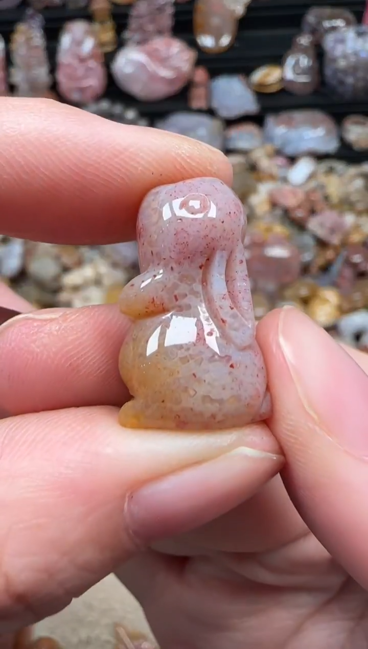 颈饰未镶嵌硅化珊瑚（珊瑚玉）149