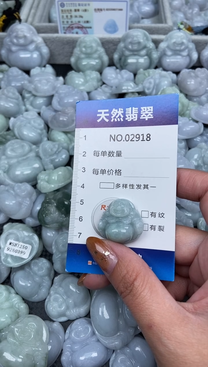 颈饰未镶嵌翡翠纯天然A货翡翠2918