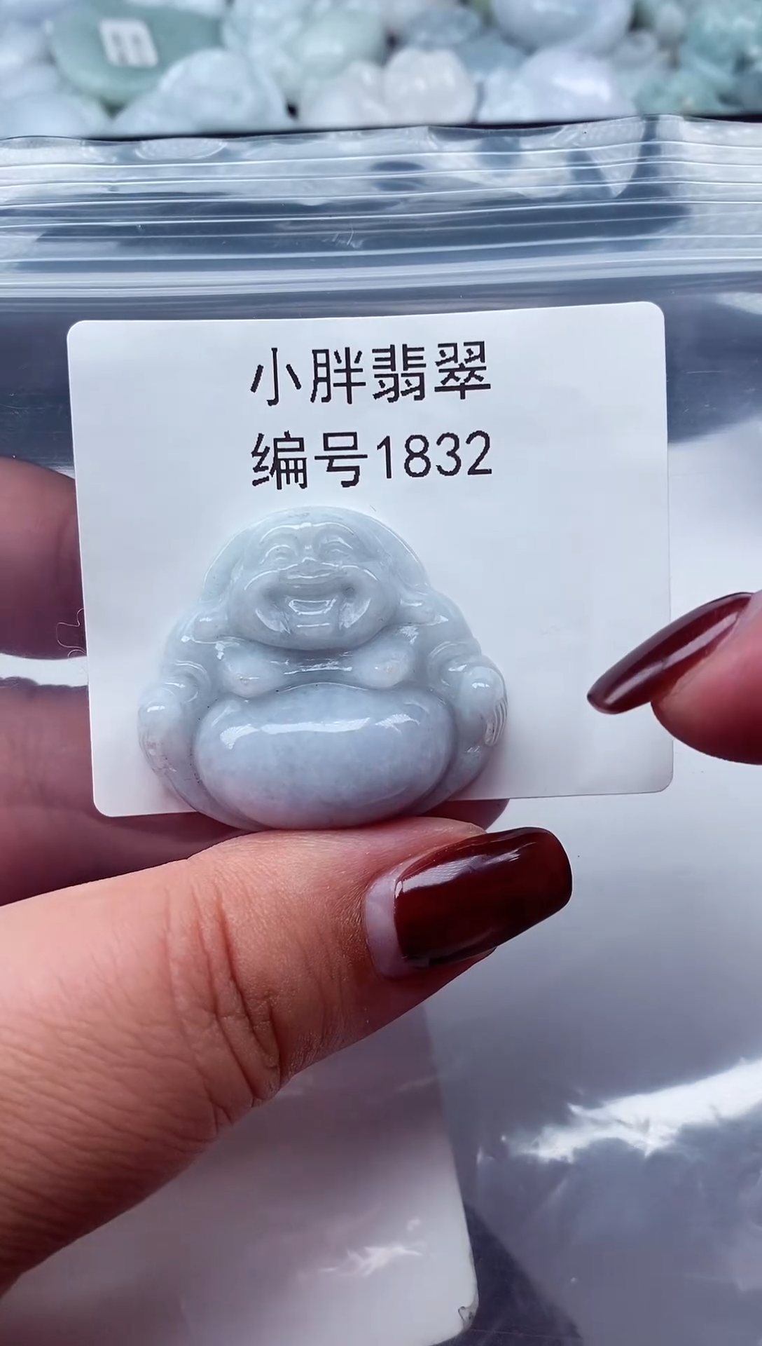 颈饰未镶嵌翡翠缅甸天然A货翡翠1832