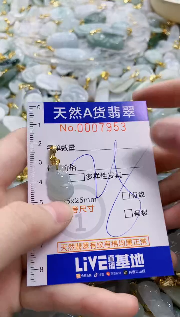 颈饰未镶嵌翡翠天然A货翡翠