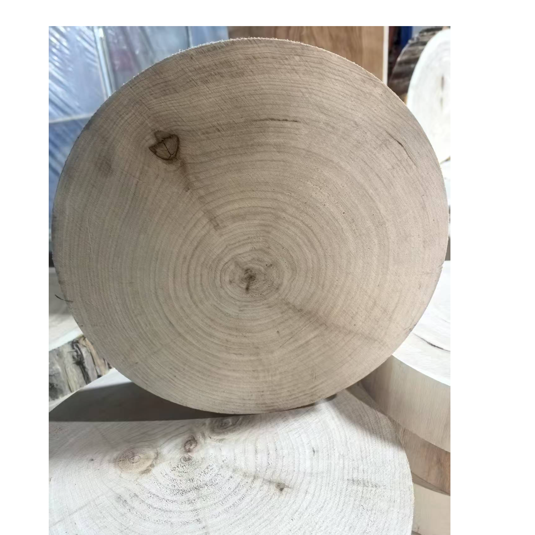 红毛柳家用商用加厚菜墩（瑕疵品）结疤痂皮等一物一拍天然木酸味