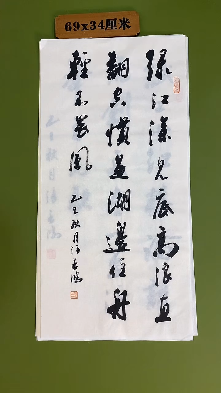 书法书法 张若鸿 尺寸69cm*34cm