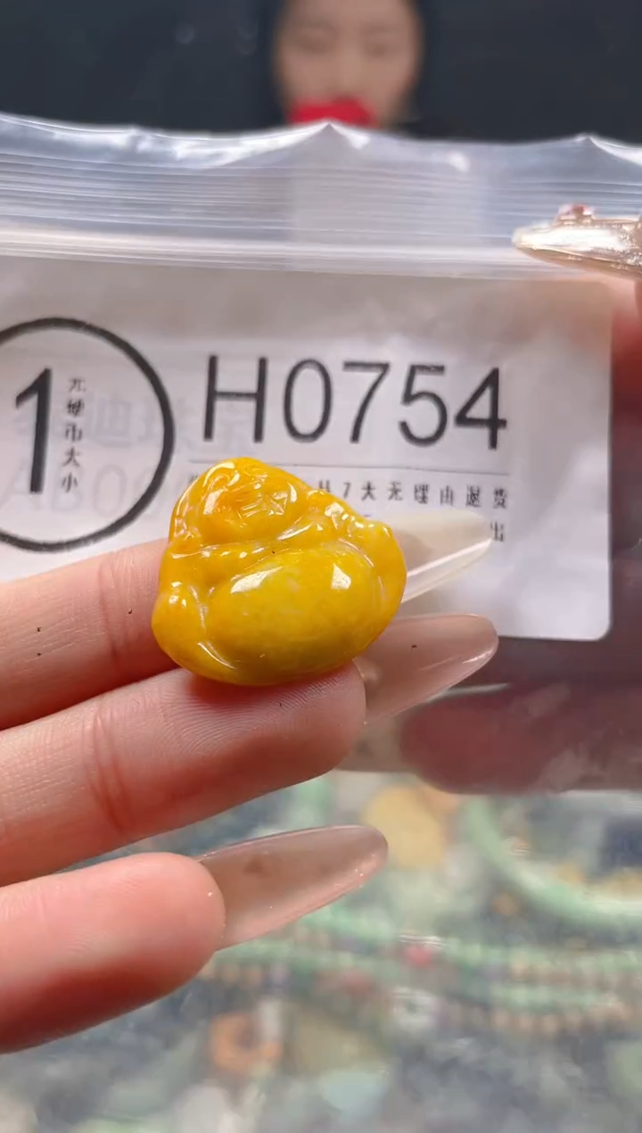 【闪购商品】翡翠颈饰未镶嵌/H/翡翠A货一图一物