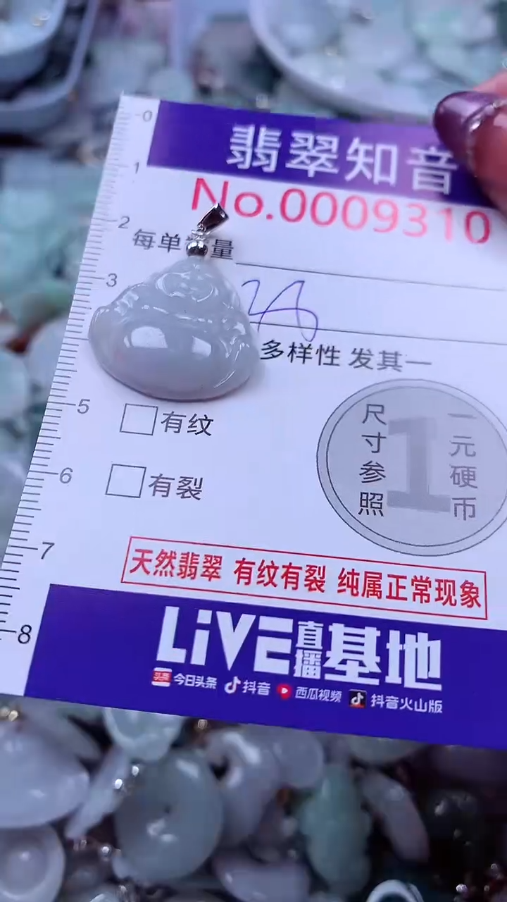 翡翠未镶嵌吊坠(不含链)9310