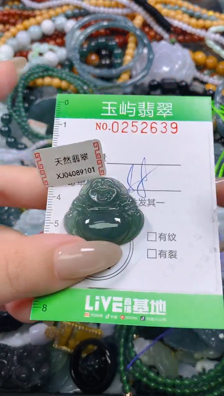 颈饰未镶嵌翡翠闪购0252639