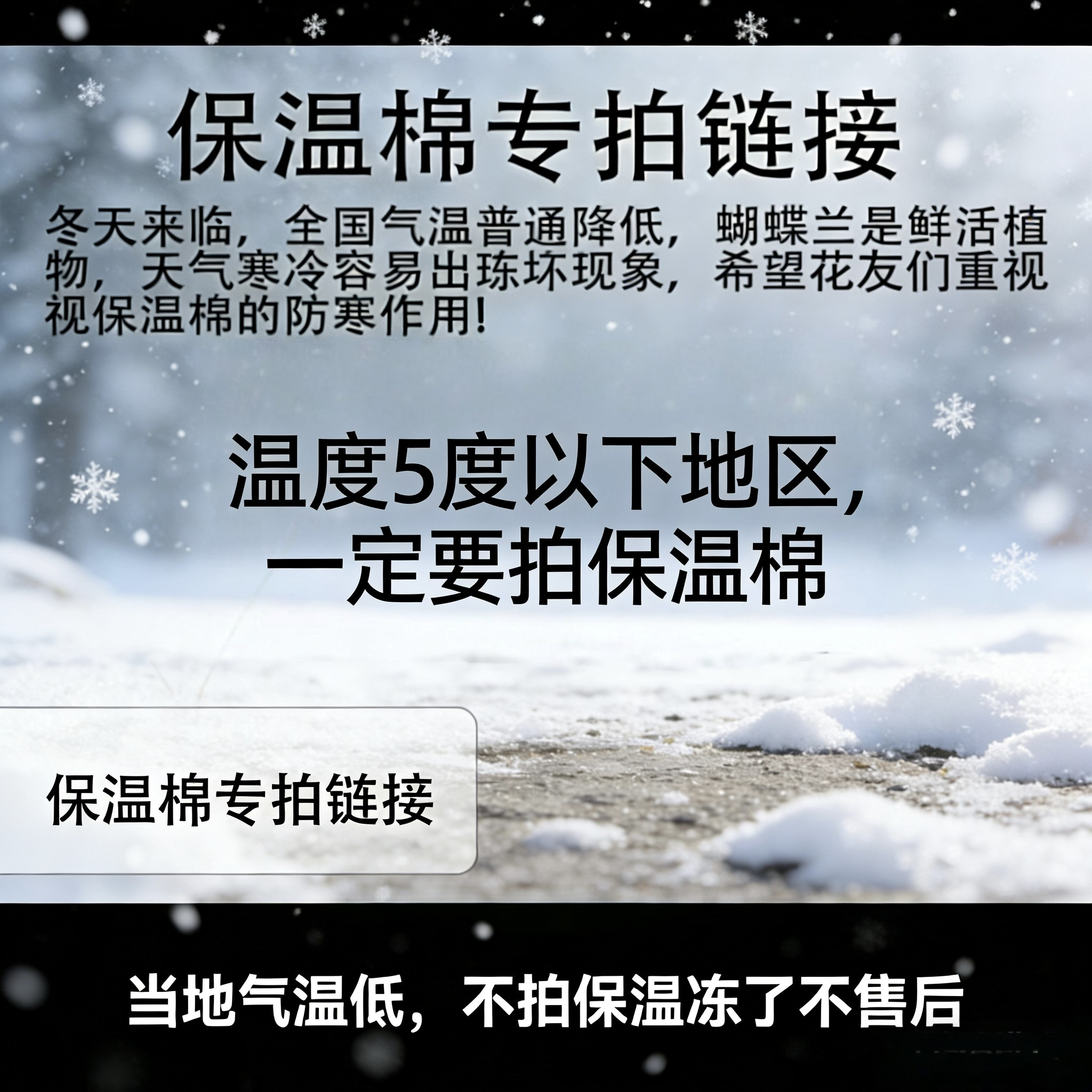 鲜花保温棉[5度以下地区建议拍保温棉]