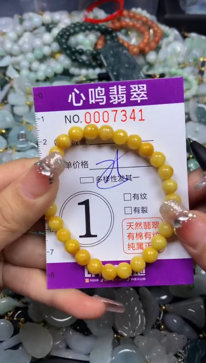 【闪购商品】翡翠颈饰未镶嵌闪购007341