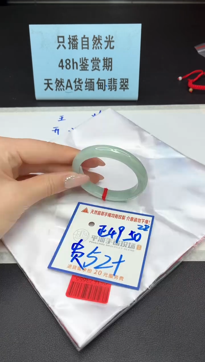未镶嵌手镯翡翠11111