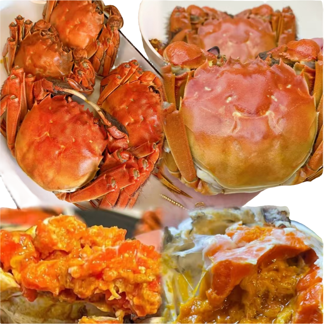 【活蟹】大闸蟹母蟹单只4两+公蟹单只4.5两 