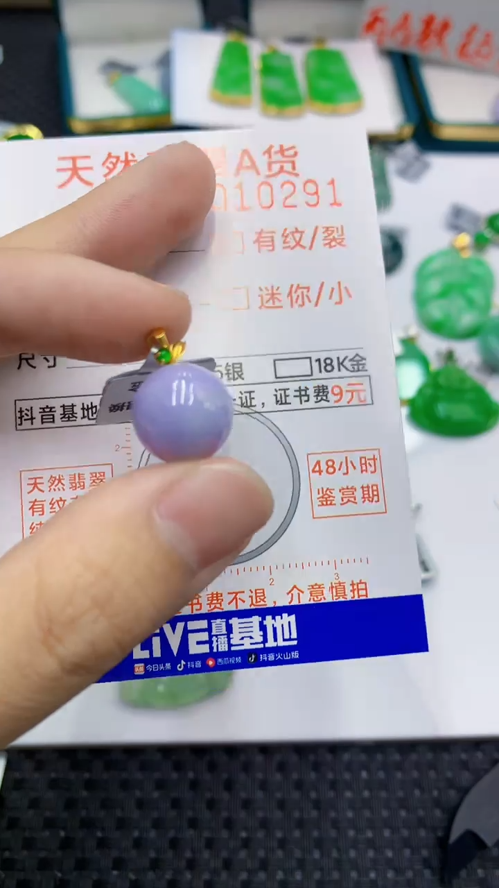翡翠18K金镶嵌颈饰             1