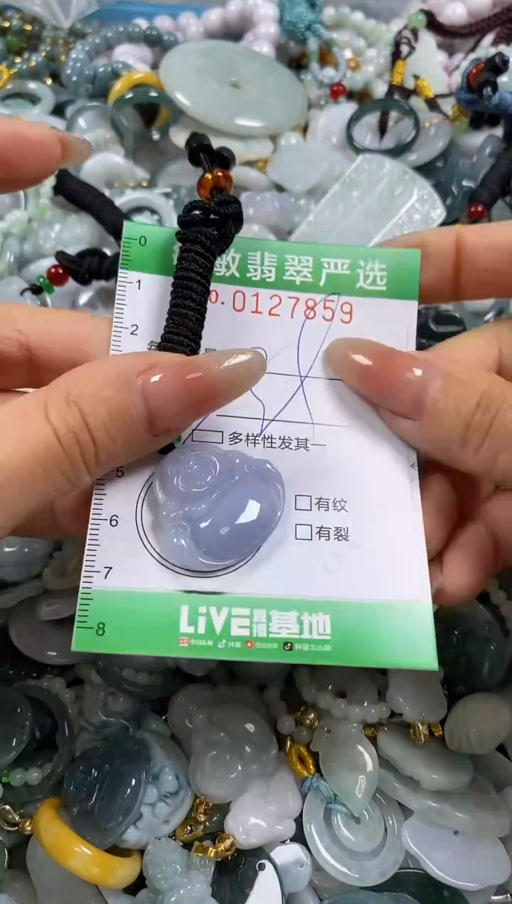 【闪购商品】翡翠颈饰未镶嵌闪购0127859