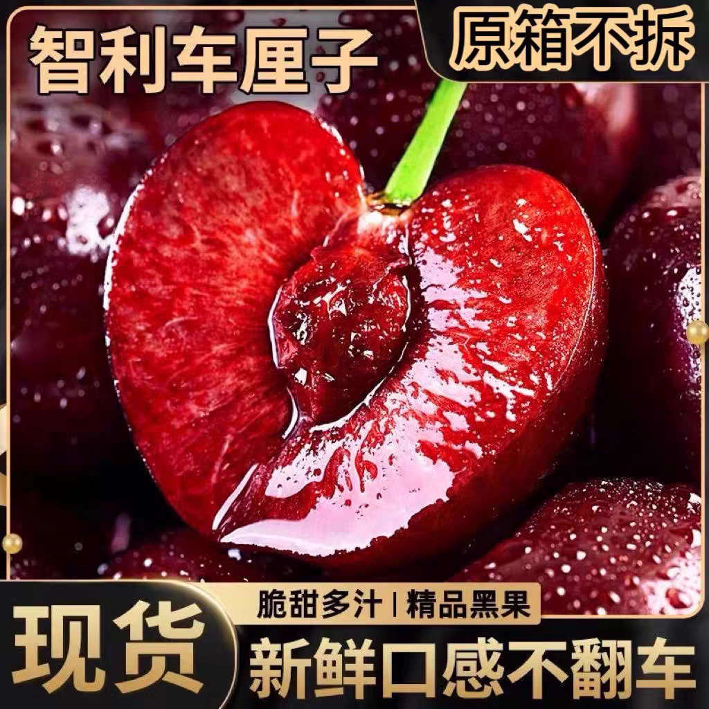 【大果】3JDD空运桑提娜车厘子当季新鲜水果内附果径卡净重5斤