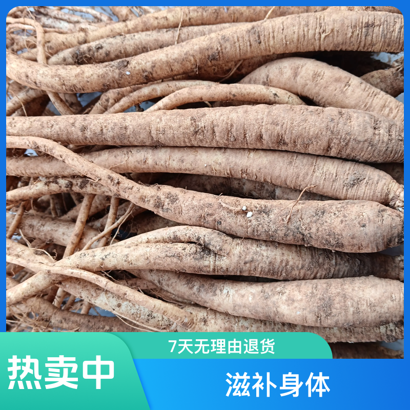 鲜党参 新鲜现挖黄党参混装煲汤泡酒滋补优选