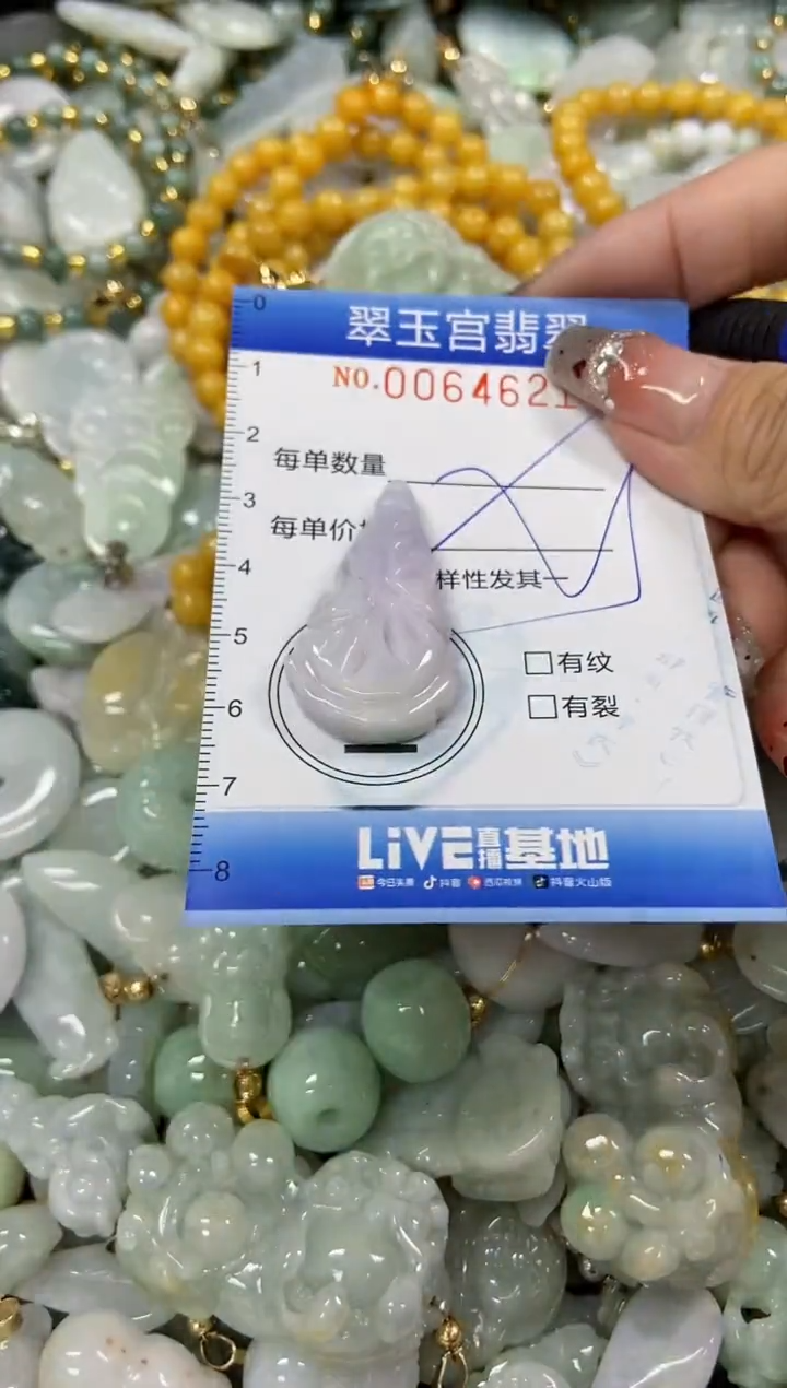 【闪购商品】翡翠颈饰未镶嵌闪购商品0064621多样性发其一