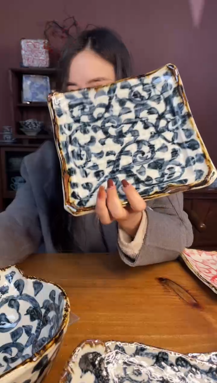 【闪购商品】瓷片          480号21*3.5