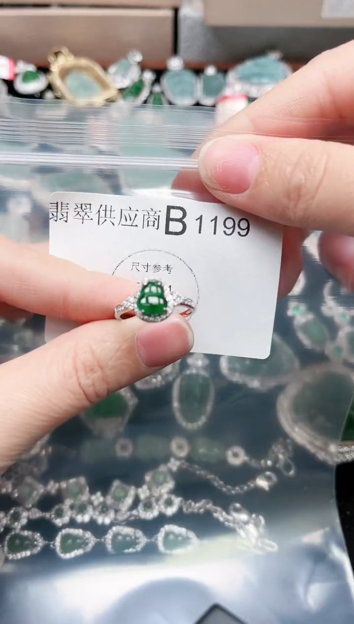 【闪购商品】翡翠颈饰未镶嵌1199赠皮绳