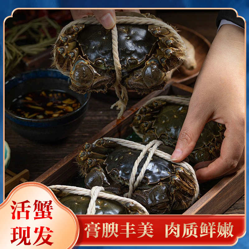 【苏州活蟹现货】江苏鲜活大闸蟹纯母蟹3.5-3.7两/只精品金标蟹全母 到手10只 海鲜 鲜活现捞河蟹