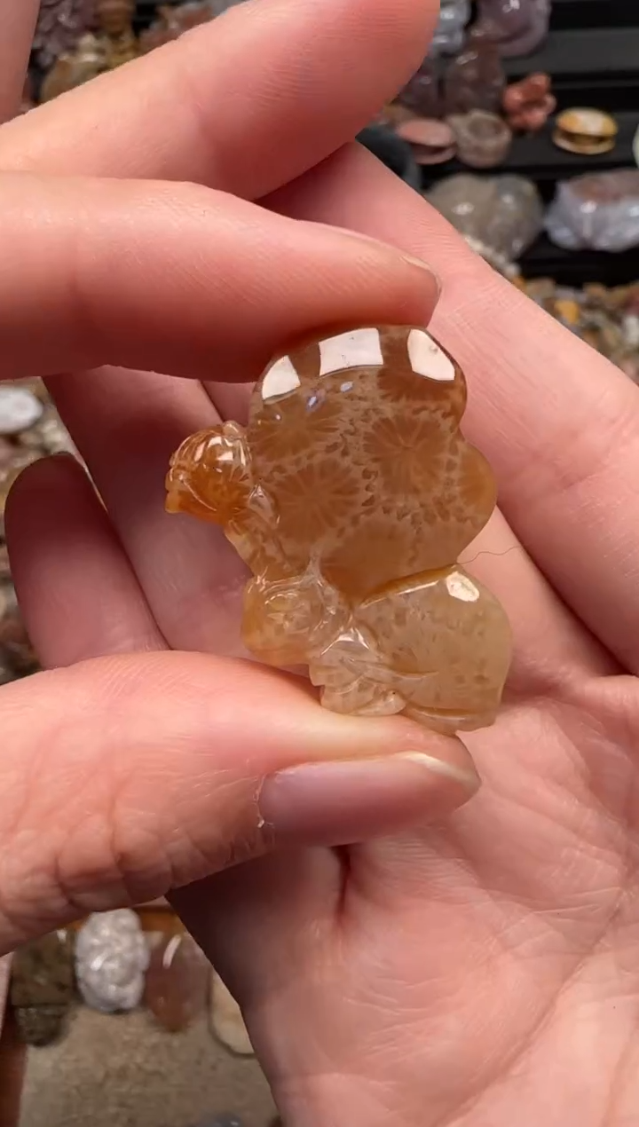 颈饰未镶嵌硅化珊瑚（珊瑚玉）156