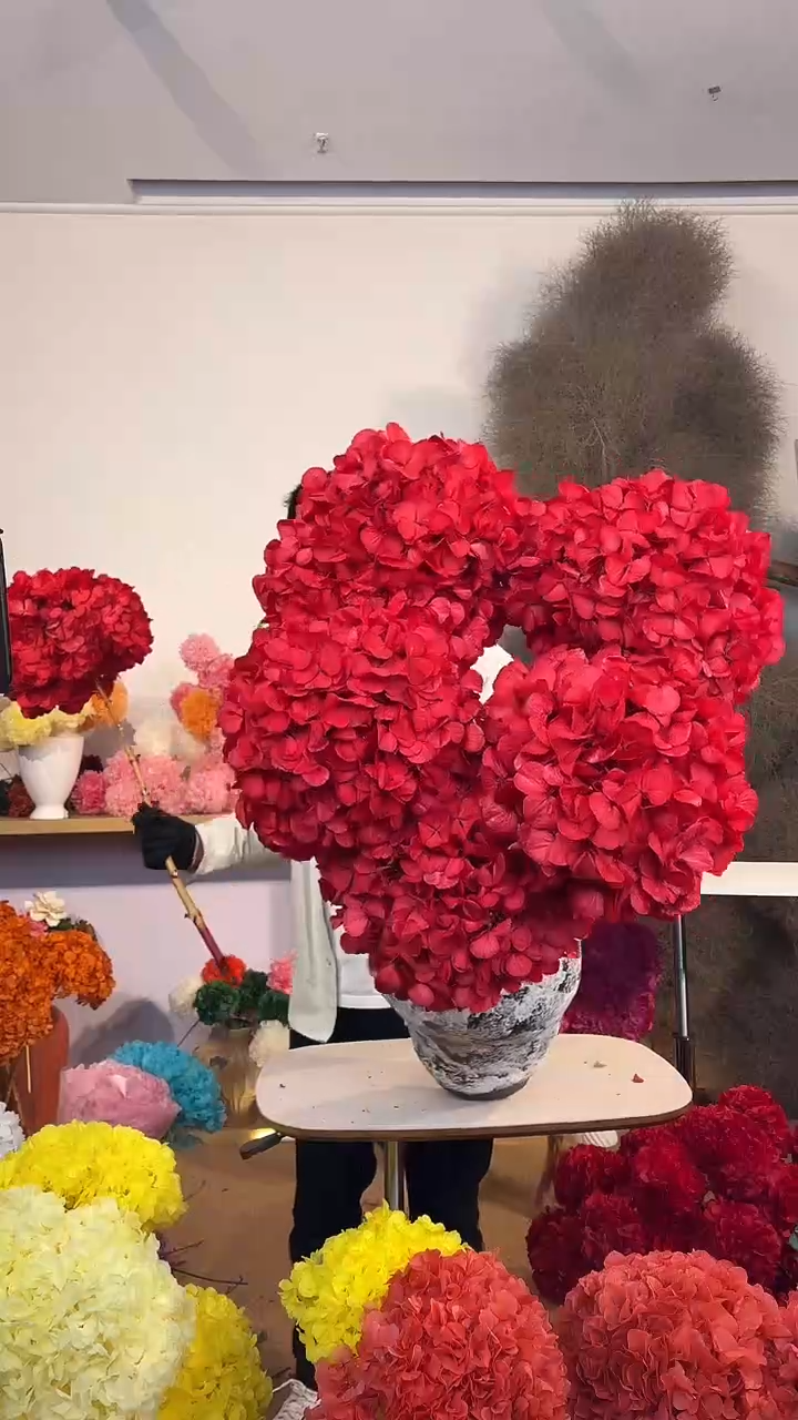 吸色永生大叶绣球5枝 红