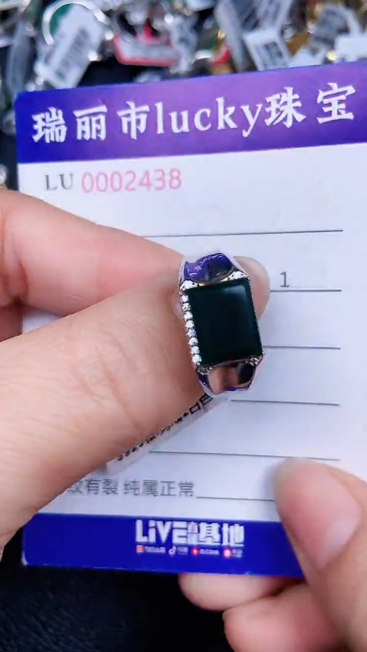 颈饰银S925镶嵌翡翠2438