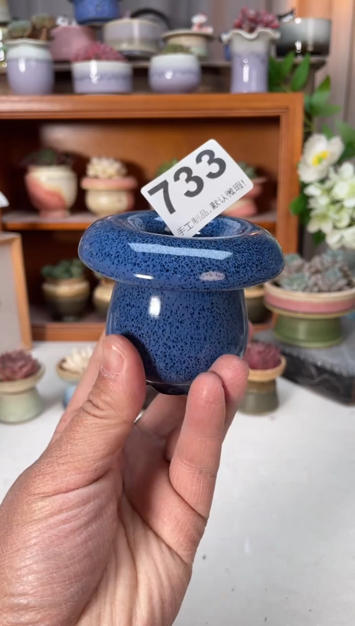 瓷片ᥫ**屿733小芳直播编号