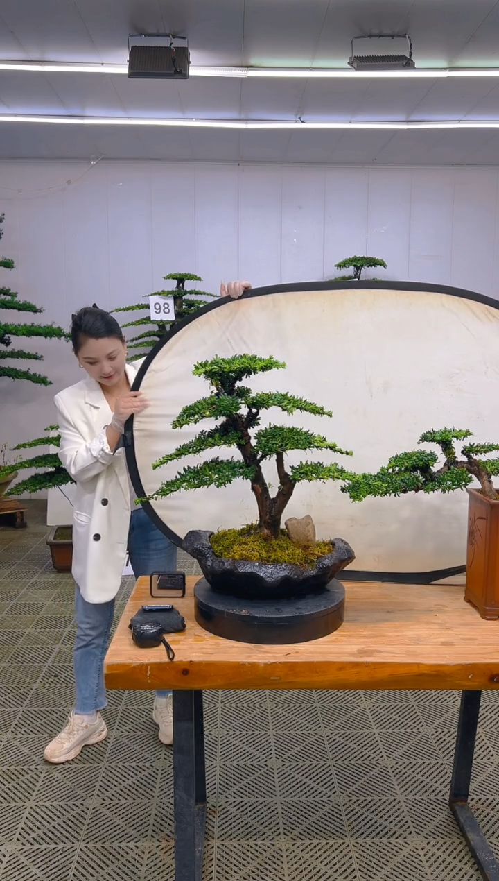 无花朵R***y一物一拍一物一拍