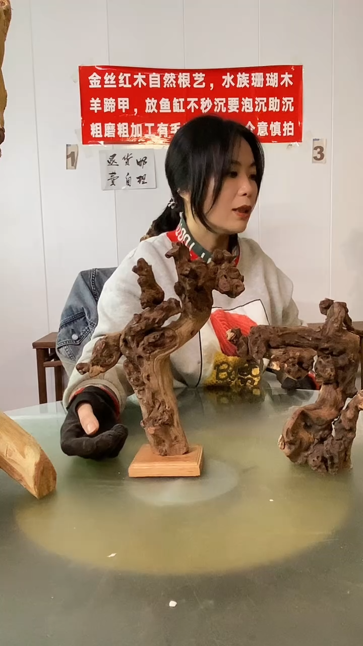 木悟*.金丝红木  羊蹄甲