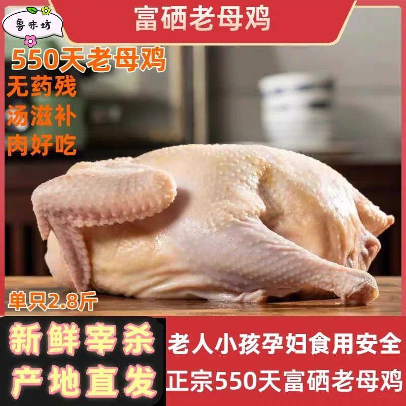 富硒老母鸡550天以上整只无抗